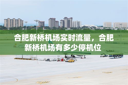 合肥新桥机场实时流量，合肥新桥机场有多少停机位 