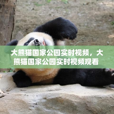网络推广方案 第198页