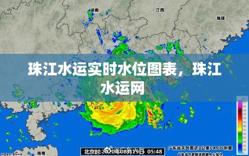 珠江水运实时水位图表，珠江水运网 