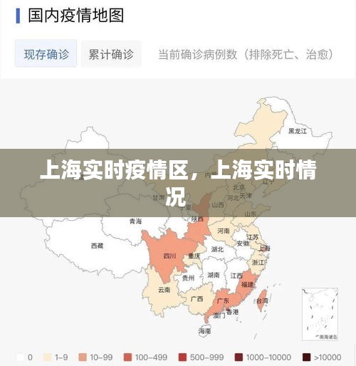 上海实时疫情区，上海实时情况 