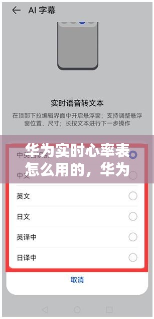 华为实时心率表怎么用的，华为 实时心率 怎么设置 