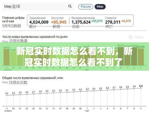 新冠实时数据怎么看不到，新冠实时数据怎么看不到了 