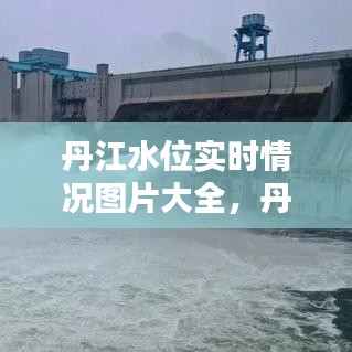 丹江水位实时情况图片大全，丹江水位现在多少米 