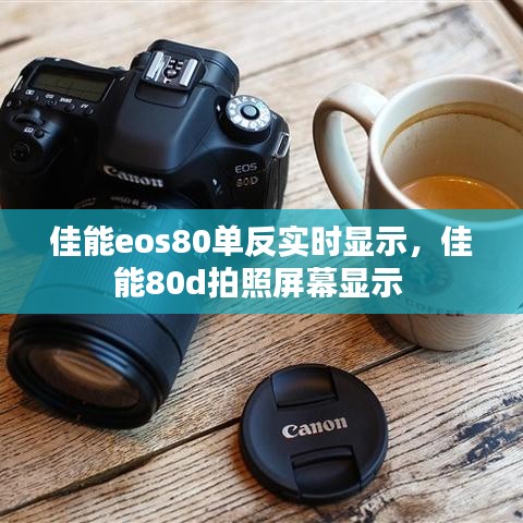 佳能eos80单反实时显示，佳能80d拍照屏幕显示 