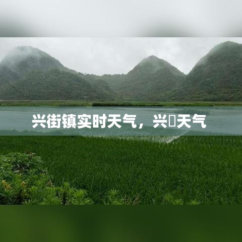 兴街镇实时天气，兴囯天气 