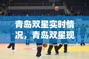 青岛双星实时情况，青岛双星现状 