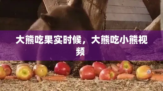 网络推广方案 第196页