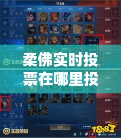 柔佛实时投票在哪里投的，王者荣耀选英雄怎么显示分路几段 