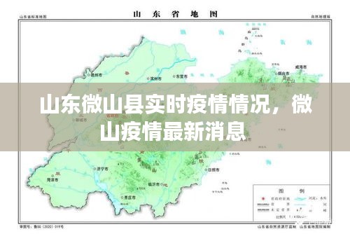 山东微山县实时疫情情况，微山疫情最新消息 