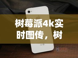 树莓派4k实时图传，树莓派4 v1.4 