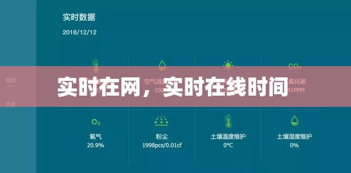 实时在网，实时在线时间 