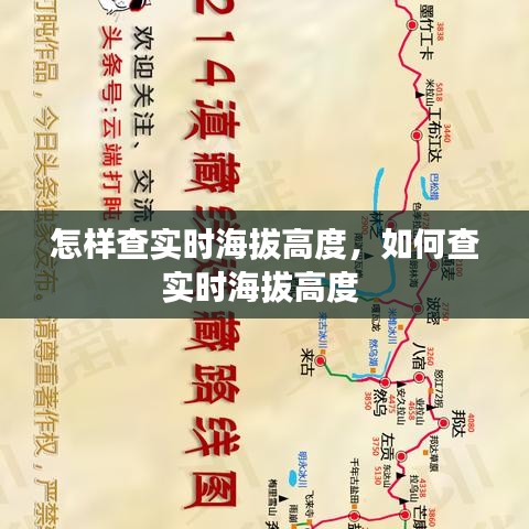 怎样查实时海拔高度，如何查实时海拔高度 