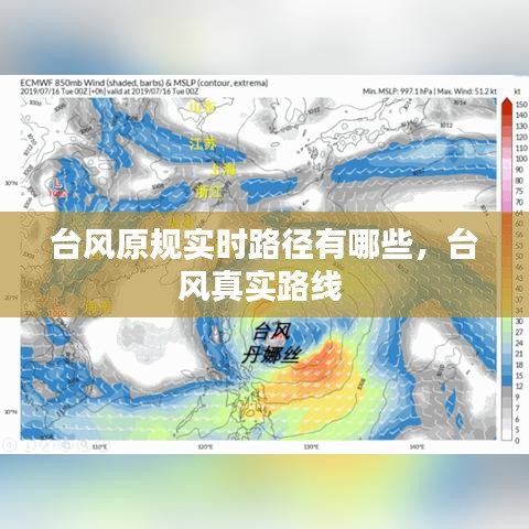 台风原规实时路径有哪些，台风真实路线 