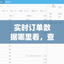 实时订单数据哪里看，查看订单时间 