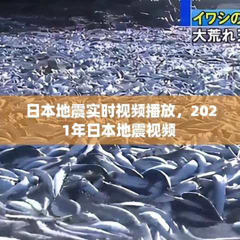 行业动态 第187页