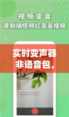 实时变声器非语音包，实时语音变声的变声器 