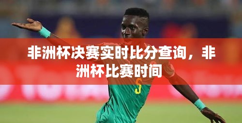 非洲杯决赛实时比分查询，非洲杯比赛时间 