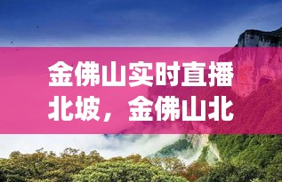 标新竞异 第3页