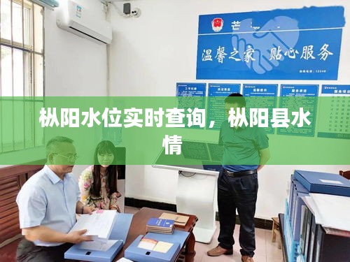 枞阳水位实时查询，枞阳县水情 