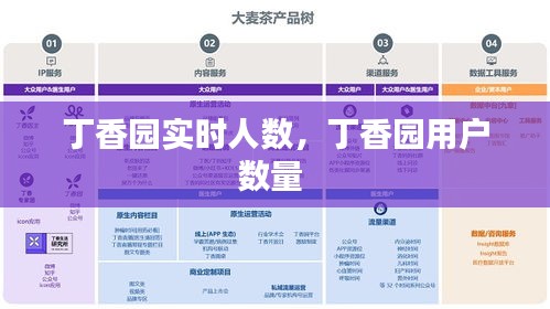 丁香园实时人数，丁香园用户数量 