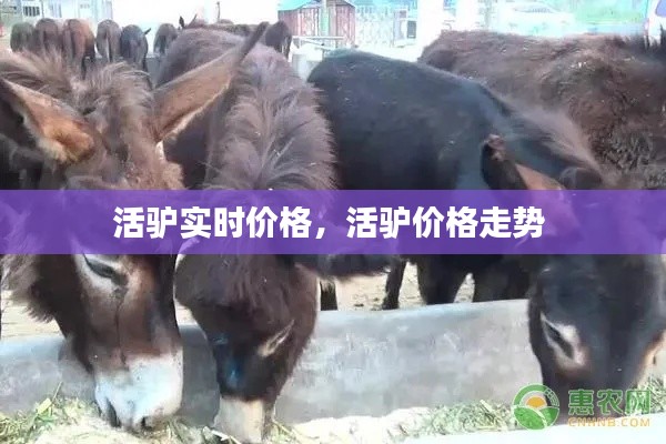 还醇返朴 第3页