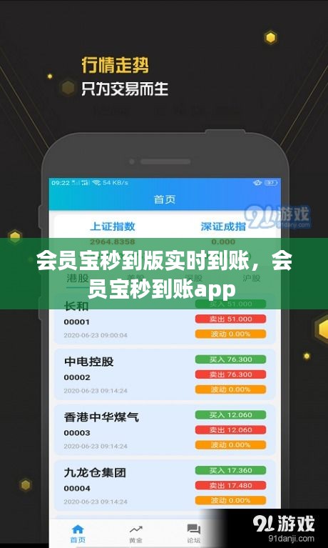 会员宝秒到版实时到账，会员宝秒到账app 