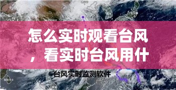 怎么实时观看台风，看实时台风用什么软件 