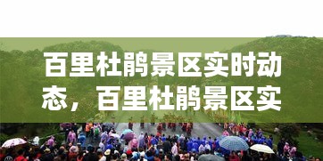 鸡飞狗跳 第3页