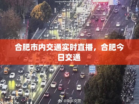莺声燕语 第3页