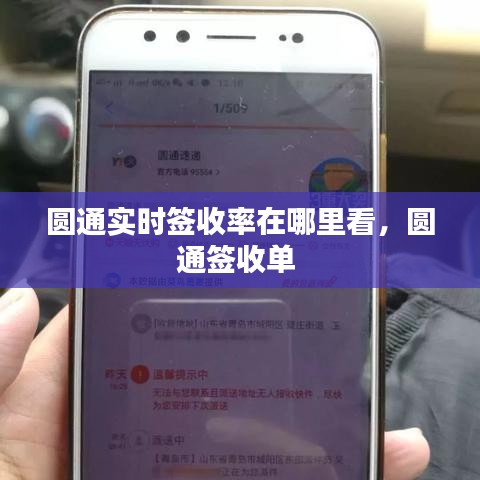 圆通实时签收率在哪里看，圆通签收单 