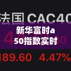 新华富时a50指数实时情况，新华富时a50指数实时行情 