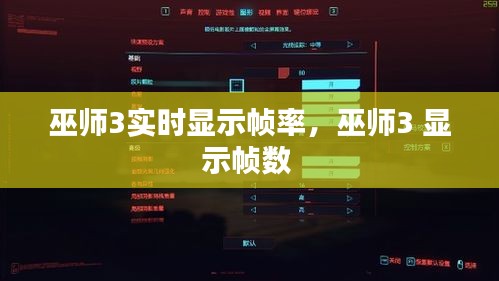 巫师3实时显示帧率，巫师3 显示帧数 