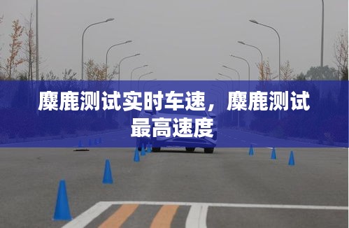麋鹿测试实时车速，麋鹿测试最高速度 