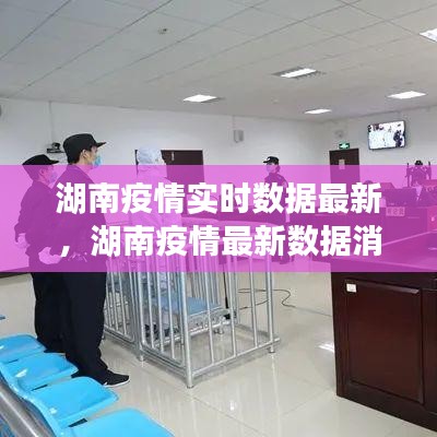 湖南疫情实时数据最新，湖南疫情最新数据消息地图 