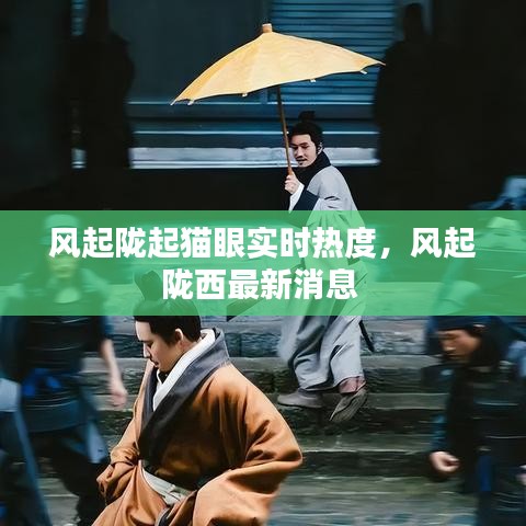 风起陇起猫眼实时热度，风起陇西最新消息 