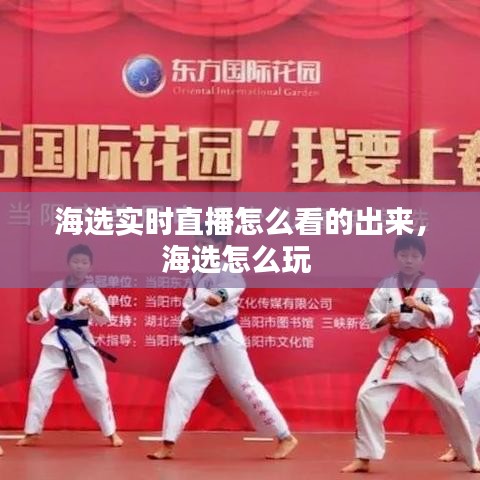海选实时直播怎么看的出来，海选怎么玩 
