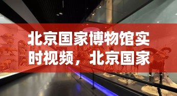 北京国家博物馆实时视频，北京国家博物馆实时视频播放 