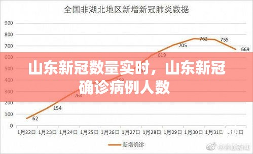 山东新冠数量实时，山东新冠确诊病例人数 