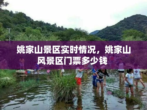 姚家山景区实时情况，姚家山风景区门票多少钱 