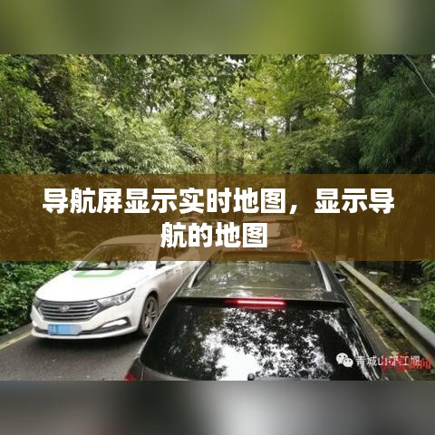 导航屏显示实时地图，显示导航的地图 