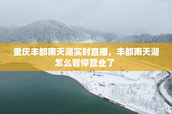 驾轻就熟 第3页