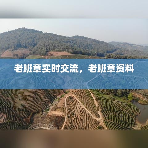 老班章实时交流，老班章资料 