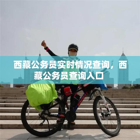 西藏公务员实时情况查询，西藏公务员查询入口 