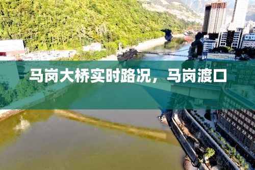 马岗大桥实时路况，马岗渡口 
