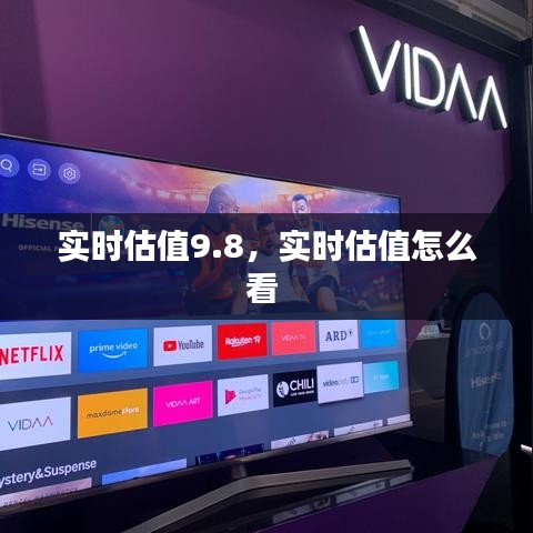 实时估值9.8，实时估值怎么看 