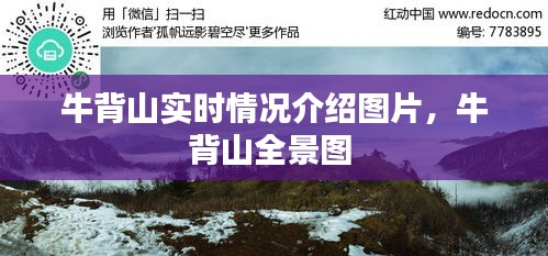 尽心竭力 第2页