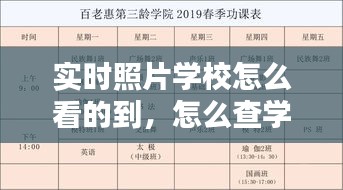 实时照片学校怎么看的到，怎么查学校学生照片 
