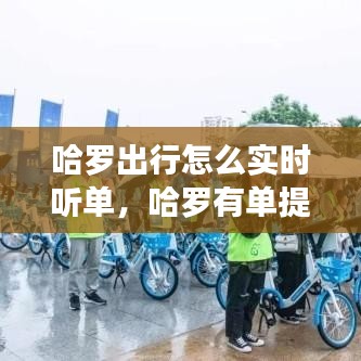 哈罗出行怎么实时听单，哈罗有单提醒怎么设置 