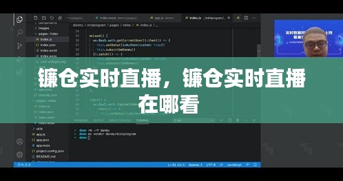 镰仓实时直播，镰仓实时直播在哪看 