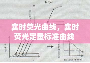 实时荧光曲线，实时荧光定量标准曲线 